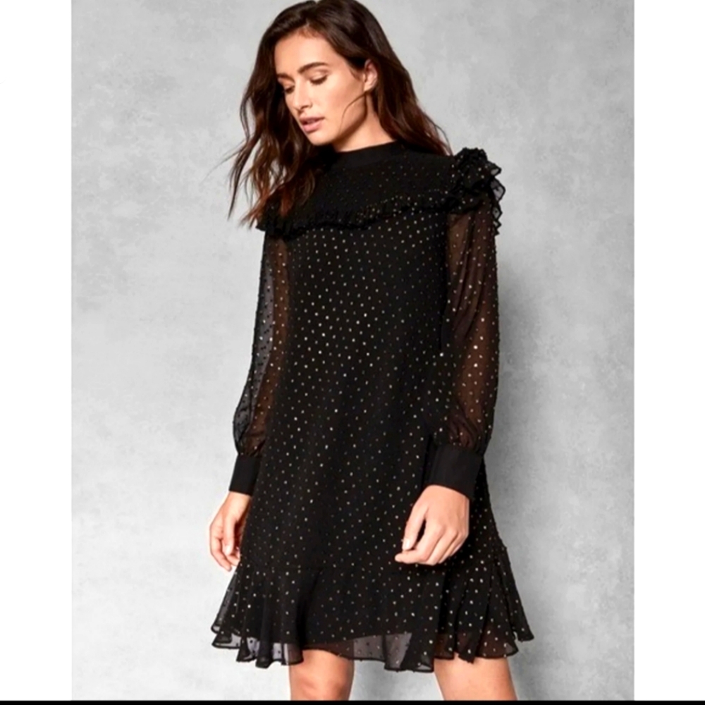 Ted baker shiffon dress with ruffles